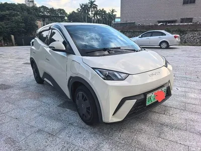 2024 BYD Seagull Glory Edition 305km Vitality Edition, фото 3, лот 10518631