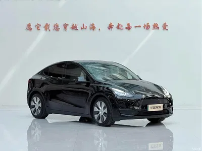 2021 Tesla Model Y Standard Range Rear-Wheel Drive, фото 3, лот 11228257