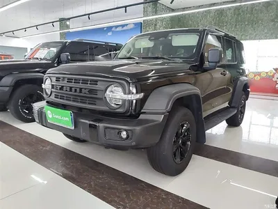 2021 Tank 300 Off-road Version 2.0T Conqueror, фото 1, лот 10345526