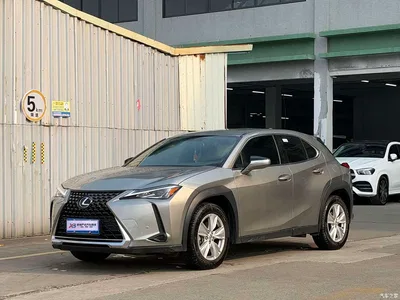 2020 Lexus UX 200 Special Edition, фото 1, лот 10984815
