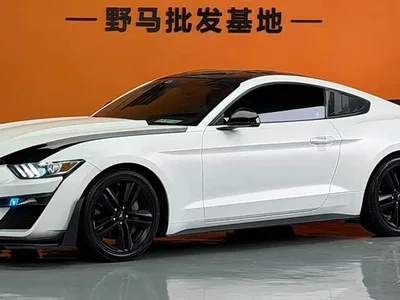 2017 Ford Mustang 2.3T Sport Edition, фото 1, лот 10620604