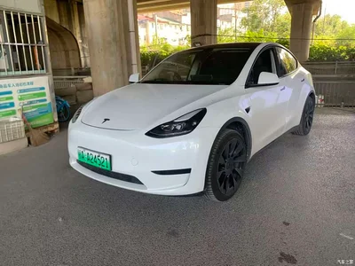 2022 Tesla Model Y Facelift Rear-Wheel Drive Version, фото 1, лот 11598215