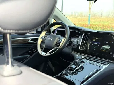 2021 GAC Trumpchi Trumpchi M8 Leading Show Series 390T Luxury Edition, фото 4, лот 10417655