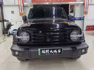 2025 Tank 300 New Energy Hi4-T, фото 2, лот 10344045
