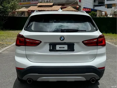 2018 BMW X1 xDrive20Li Premium Model, фото 4, лот 10466776