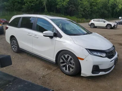 2026 HONDA ODYSSEY EXL, фото 4, лот 10704143