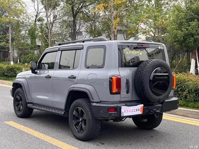 2021 Tank 300 Off-road Version 2.0T Conqueror, фото 3, лот 10356924