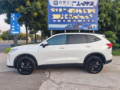 2024 Haval H6 1.5T 2WD Max, фото 4, лот 10299115