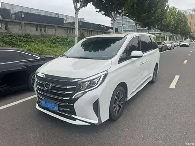 2024 GAC Trumpchi Trumpchi M8 Leadershow Series 390T Premium Edition, фото 1, лот 10417247