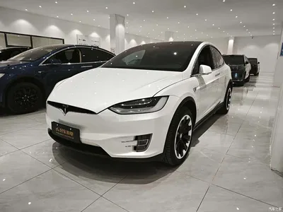 2019 Tesla Model X Long Range Version, фото 3, лот 10354362