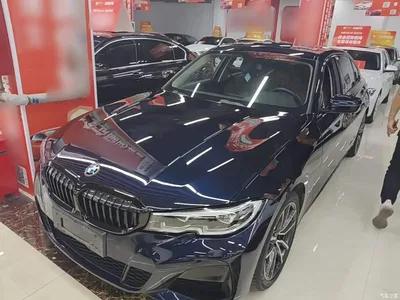 2021 BMW 3 Series 320Li M Sport Package, фото 2, лот 10457897