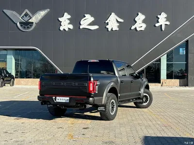 2019 Ford F-150 Raptor 3.5T Raptor Performance Enhanced Edition, фото 3, лот 10295761