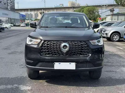 2021 Great Wall Pao 2.0T Commercial Edition Manual Diesel 2WD Elite Long Box GW4D20M, фото 2, лот 11513469