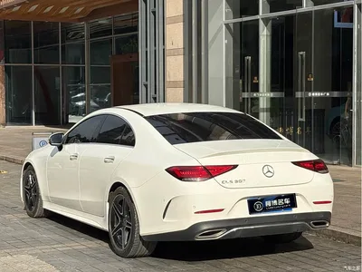 2021 Mercedes-Benz CLS 300 Luxury, фото 4, лот 10954830