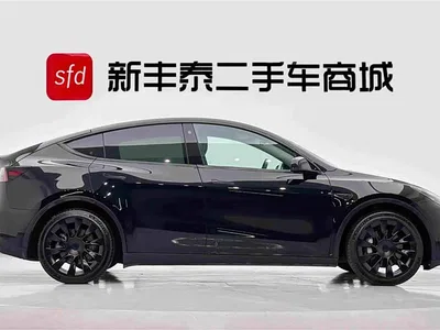2021 Tesla Model Y Standard Range Rear-Wheel Drive, фото 3, лот 10403284