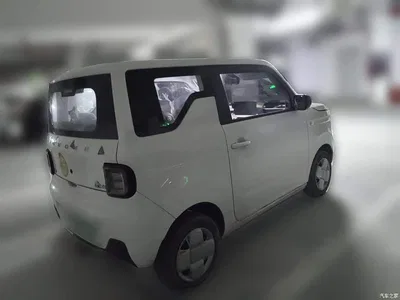 2024 Geely Galaxy Panda mini 200km Endurance Bear, фото 4, лот 10430374