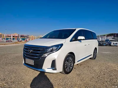 2020 GAC Trumpchi Trumpchi M8 Pilot 390T Prestige Edition, фото 1, лот 10419761