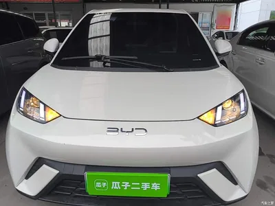 2024 BYD Seagull Glory Edition 305km Vitality Edition, фото 3, лот 10262900