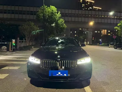 2024 BMW 5 Series 530Li Leading M Sport Package, фото 1, лот 10845832