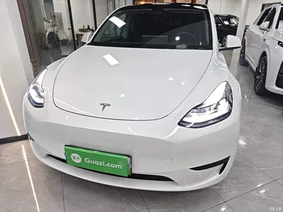 2024 Tesla Model Y Rear-Wheel Drive Version, фото 3, лот 11247941
