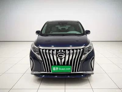 2023 GAC Trumpchi Trumpchi M8 Leading Series 390T Luxury Edition, фото 2, лот 10414014