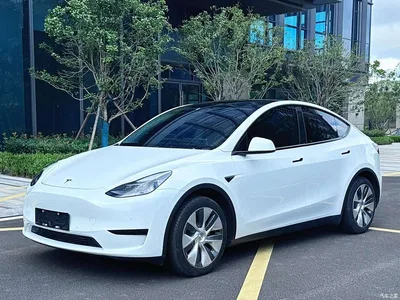 2023 Tesla Model Y Rear-Wheel Drive Edition, фото 1, лот 10392465