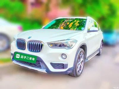 2019 BMW X1 sDrive18Li Premium Model, фото 1, лот 11140597
