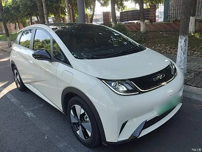 2023 BYD Dolphin 420km Fashion Edition, фото 4, лот 10259862