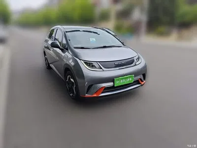 2021 BYD Dolphin Model 405km Fashion Edition, фото 3, лот 10390504
