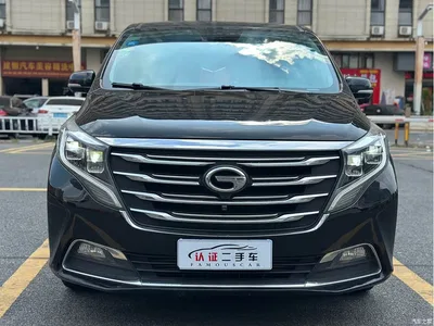 2018 GAC Trumpchi Trumpchi M8 320T Premium Edition, фото 2, лот 11215869