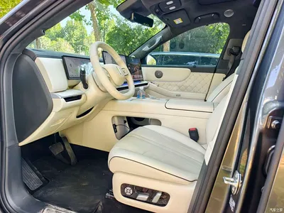 2026 WEY V9X Model Base Trim, фото 4, лот 11582166