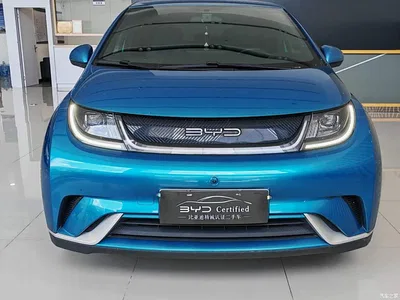2021 BYD Dolphin 405km Freedom Edition, фото 2, лот 10254222