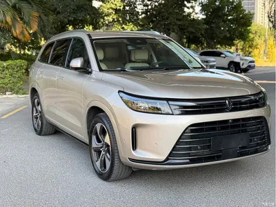 2022 AITO Wenjie AITO M7 1.5T RWD Comfort Edition, фото 2, лот 10571021
