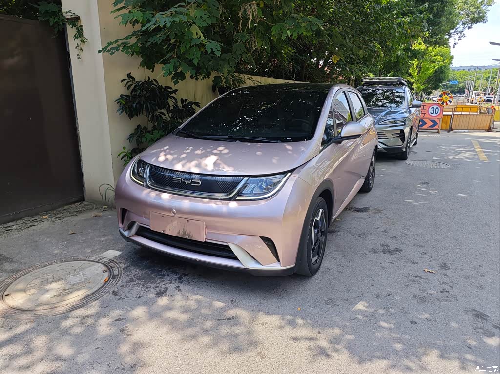 2021 BYD Dolphin 405km Freedom Edition, фото 1, лот 11226395