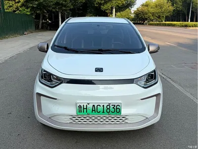 2021 Sehol Flower Fairy 302km Luxury 30.2kWh, фото 2, лот 11153515