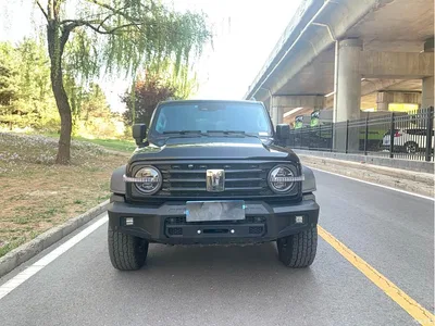 2021 Tank 300 Off-road Version 2.0T Conqueror, фото 2, лот 10344785