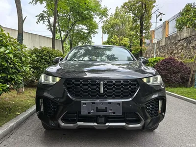 2017 WEY VV5 2.0T Super Luxury Model, фото 2, лот 10452123