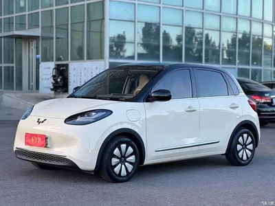 2024 Wuling Motors Wuling Bingo 333km Comfort Edition, фото 1, лот 11579674
