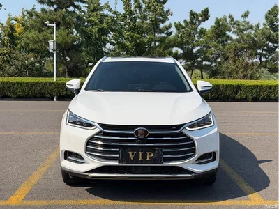 2018 BYD Tang 2.0T Automatic Smart Connection Noble Edition 7-Seater China V, фото 1, лот 10399461