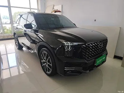 2022 GAC Trumpchi Trumpchi GS8 Pilot Series 2.0TGDI 2WD Luxury Smart Connect Edition (7-Seater), фото 4, лот 10422623