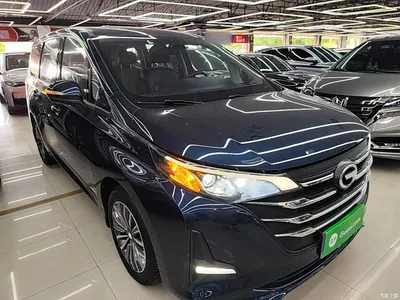 2019 GAC Trumpchi Trumpchi M6 270T DCT Premium Edition (7-seater) (China VI), фото 4, лот 10422820