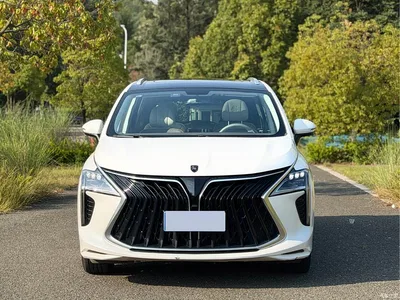 2022 Dongfeng Fengxing Yacht 1.5T DCT Set Sail Edition, фото 2, лот 11159316