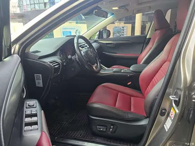 2020 Lexus NX 300h FWD F Sport China VI, фото 4, лот 11138991