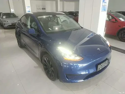 2022 Tesla Model Y Facelift Rear-Wheel Drive Version, фото 4, лот 10369996