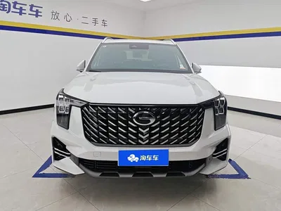 2025 GAC Trumpchi Trumpchi GS8 Pilot Series 2.0TGDI 2WD Luxury Edition 5-seater, фото 2, лот 11204017