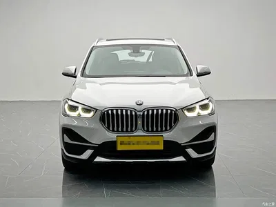 2020 BMW X1 New Energy xDrive30Le Premium Edition, фото 2, лот 10412944