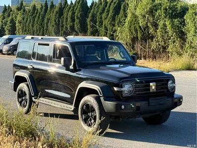 2021 Tank 300 Off-road Version 2.0T Conqueror, фото 3, лот 11574439