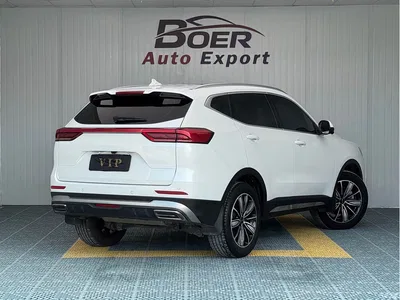 2023 Haval H6 National Trend Edition 1.5T Automatic Champion, фото 4, лот 10282988