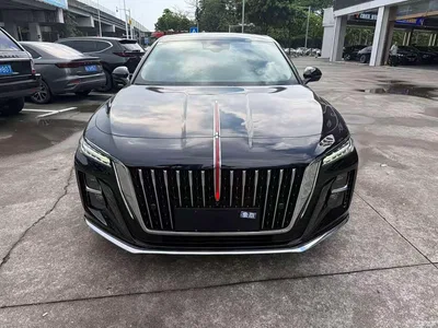 2023 Hongqi H5 2.0T Auto Smart Connect Flag Enjoy, фото 2, лот 10481200