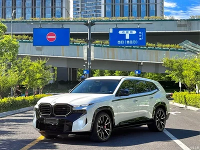 2023 BMW XM 50e, фото 3, лот 10477208